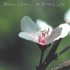 A Simple Life by Brian Crain (CD, Jan-2005, Crain Records)