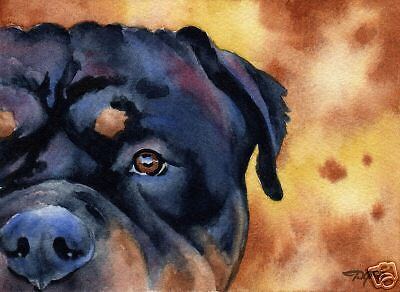 ROTTWEILER Watercolor Dog ART 11 X 14 ...