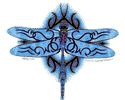 dragonflyby