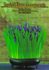 Inspired Flower Arrangements by Issey Miyake, Toshiro Kawase (1999, Hardcover)
