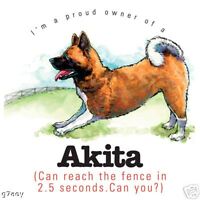 Funny Akita