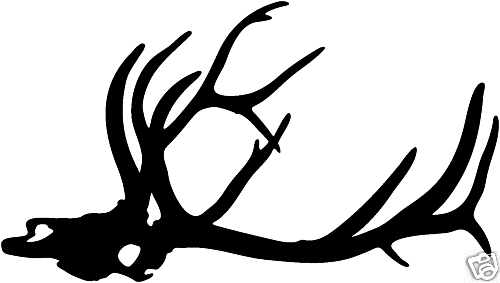 Bull Elk Skull Decal #1 Big Game Window Decals 6  