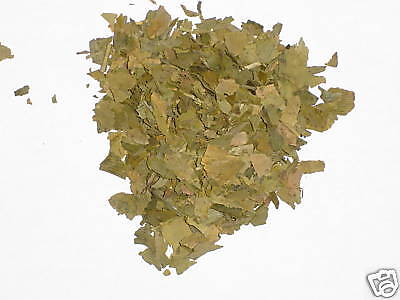 100g Dried Ginkgo Ginko Biloba Maidenhair Tree Tea Leaf