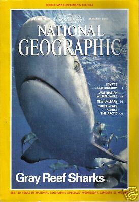 National Geographic January 1995 Egypts Old Kingdom  