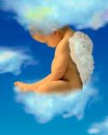 angelic_intentions