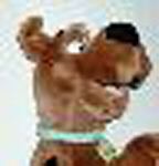 scoobydog001