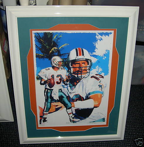 DAN MARINO NICELY FRAMED 16 X 20 PHOTO MIAMI DOLPHINS  