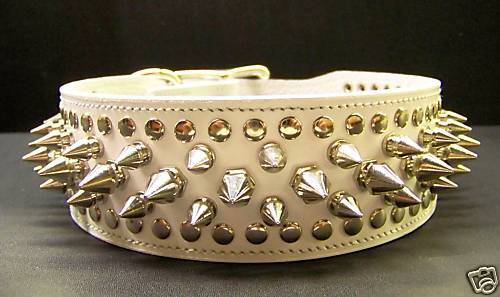 Wide White Spiked Leather 21 Collar Pitbull Studded  