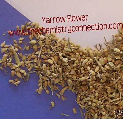 Yarrow Flower A+ Fresh Herbs & Botanicals 1 Lb  