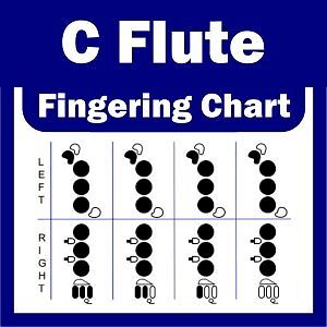 Flute Fingering Chart - A4 Guide - NEW AND EASY TO USE | eBay
