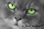 x_box_widow!!