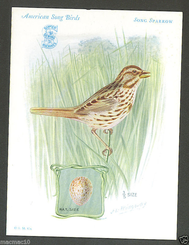 Singer Sewing Machine American Song Birds Song Sparrow  