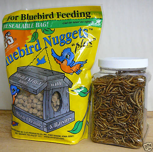 Bluebird Food C&S Bluebird Nuggets  Dried Mealworms  